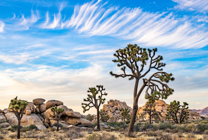 Ancient rocks, starry nights: Joshua Tree hikes connect you to history and nature.