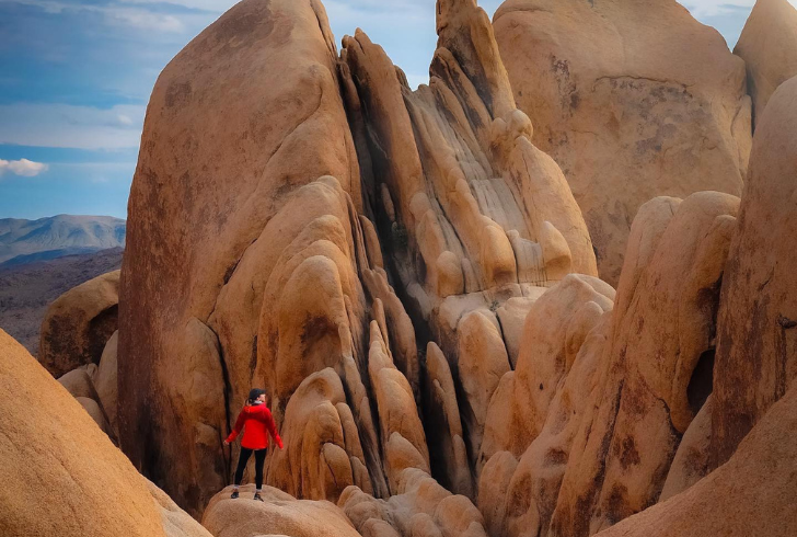 From easy strolls to challenging treks, Joshua Tree hikes offer something for every adventurer